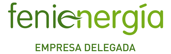 FENIE ENERGIA