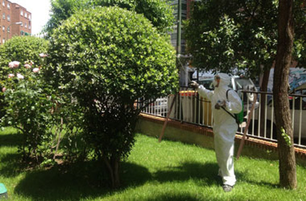 Fumigación
