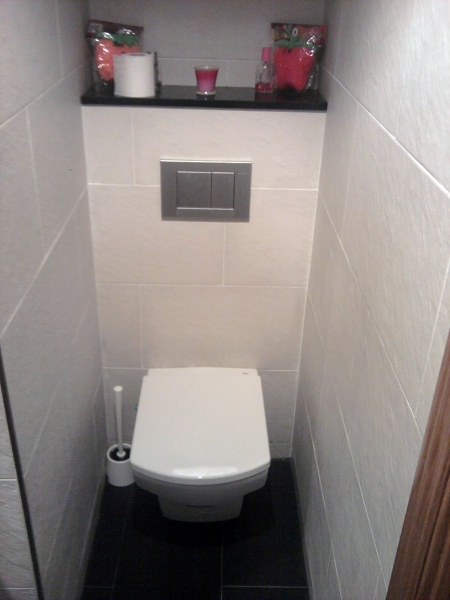 Inodoro empotrado con repisa de silestone