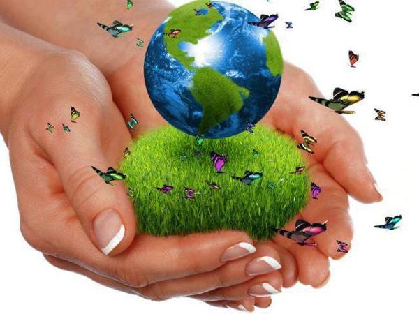 JARDINERÍA ECOLÓGICA SOMOS RESPETUOSOS CON EL MEDIO AMBIENTE