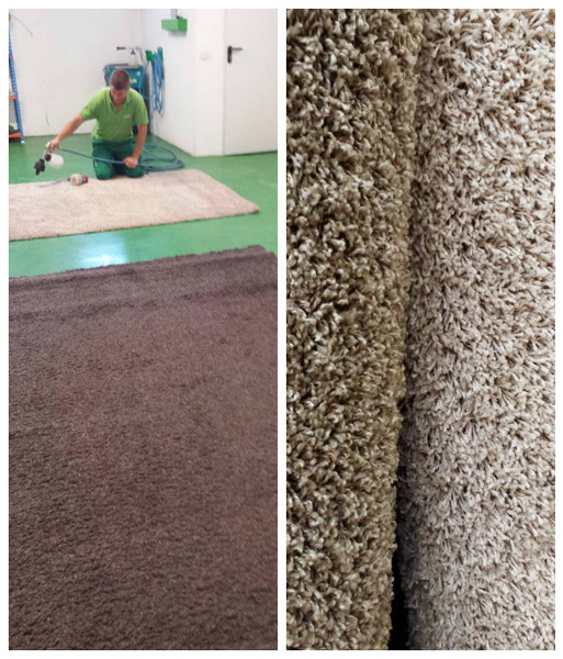 Limpieza de Alfombras