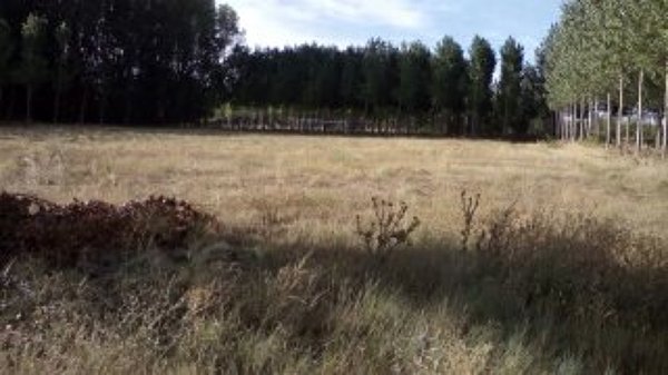 LIMPIEZA y DESBROCE CAMPO DE FUTBOL