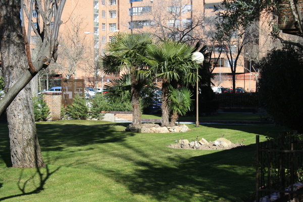 MANTENIMIENTO DE JARDÍN.