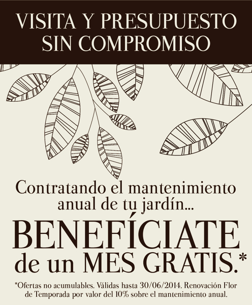 OFERTA MES GRATIS MANTENIMIENTO ANUAL