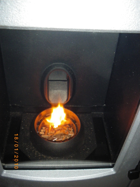 pellet