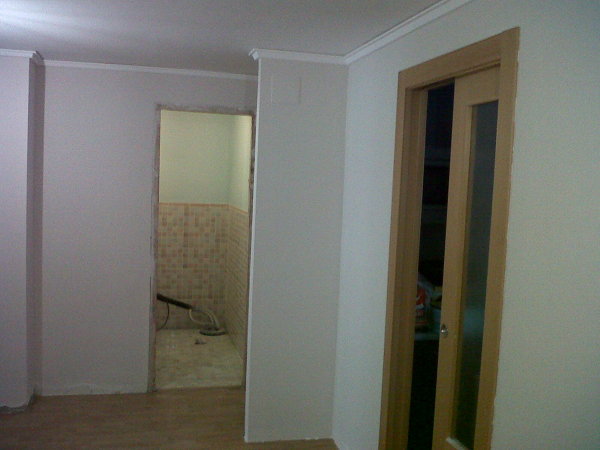 Pintura plastica mate 