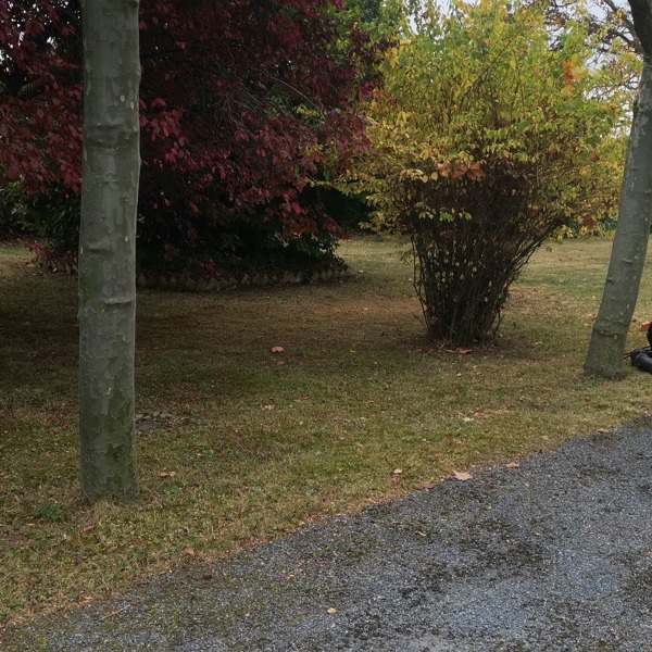 PODA OTOÑO