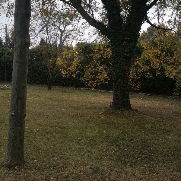 PODA OTOÑO