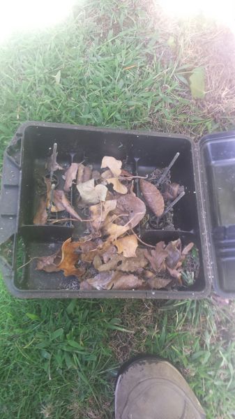 Potacebos