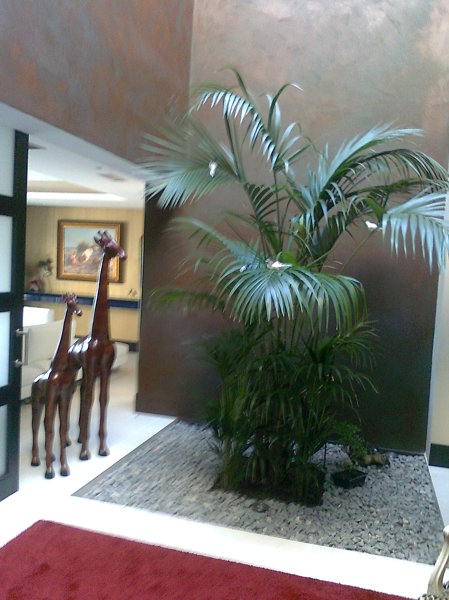 Trabajos de interiores