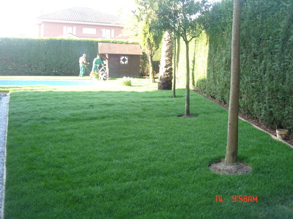 ZONA VERDE RECIENTEMENTE REALIZADA