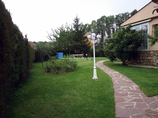 Oferta podas de setos 10% descuento en febrero