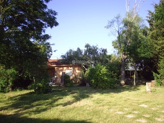 Oferta Puesta A Punto Gratis Si Contrata El Jardín Por Periodo Superior A Dos Años.