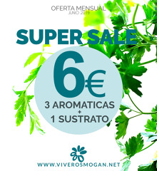 6 EUROS  [3 AROMATICAS + 1 SUSTRATO ]