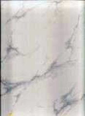 Beatriz Brillo 25x36
