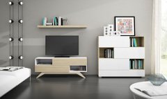 COMPOSICIÓN SALÓN
