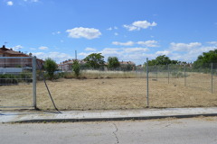 Desbroce parcela urbana
