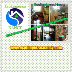 Descuento del 20% en limpiezas puntuales