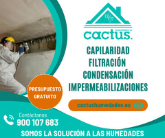 DIAGNOSTICO GRATUITO