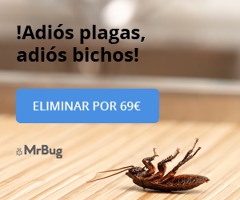Eliminar hormigas por 69€