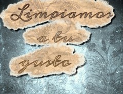 Limpiamos a tu gusto