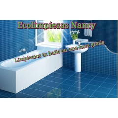 Limpiamos tu baño gratis en una hora
