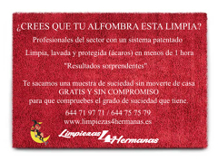 LIMPIEZA DE ALFOMBRAS 50% DTO. "SOLO ESTE MES"