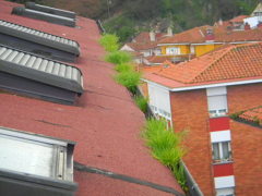Limpieza de canalones