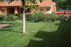 MANTENIMIENTO DE JARDÍN.