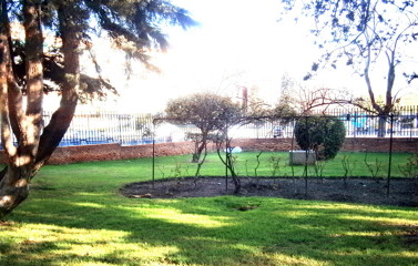 MANTENIMIENTO DE JARDINES