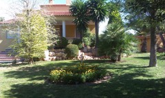 mantenimiento de jardines