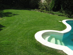 Mantenimiento jardines