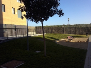 Mantenimientos de Jardín desde 100,00€