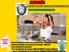 OFERTA DE FUMIGACIÓN SOLO ESTE MES!!