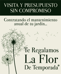 OFERTA FLOR DE TEMPORADA