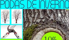 oferta invierno
