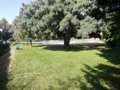 Ofertas en mantenimiento de jardines.