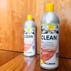PALLMANN CLEAN