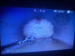 Pasamos camara gratis