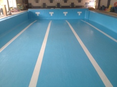 Piscina Climatizada