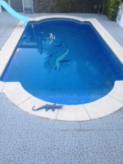 PISCINA de 4m x 8m