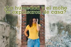 PRESUPUESTO HUMEDADES GRATUITO