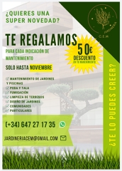 Promoción noviembre