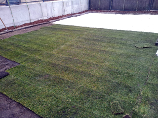 realizacion de jardines