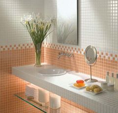 REFORMA COMPLETA DE BAÑO X 2900+IVA