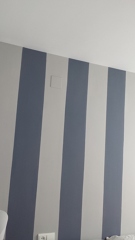 TRAZOS VERTICALES PINTADOS