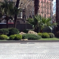 Jardin Planta y Arbustos Autóctonos Zona