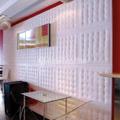Revestimiento decorativo / Paneling