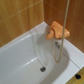 Bañera sin moho 2