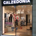 escaparate calzedonia